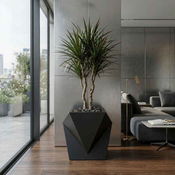 M7005 - Absolute Black, 12