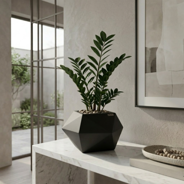 M7001 - Absolute Black, 8