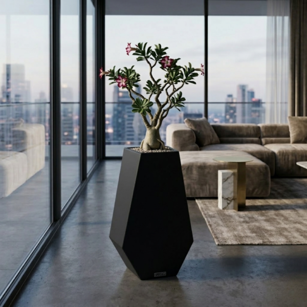 M7019 - Absolute Black, 18