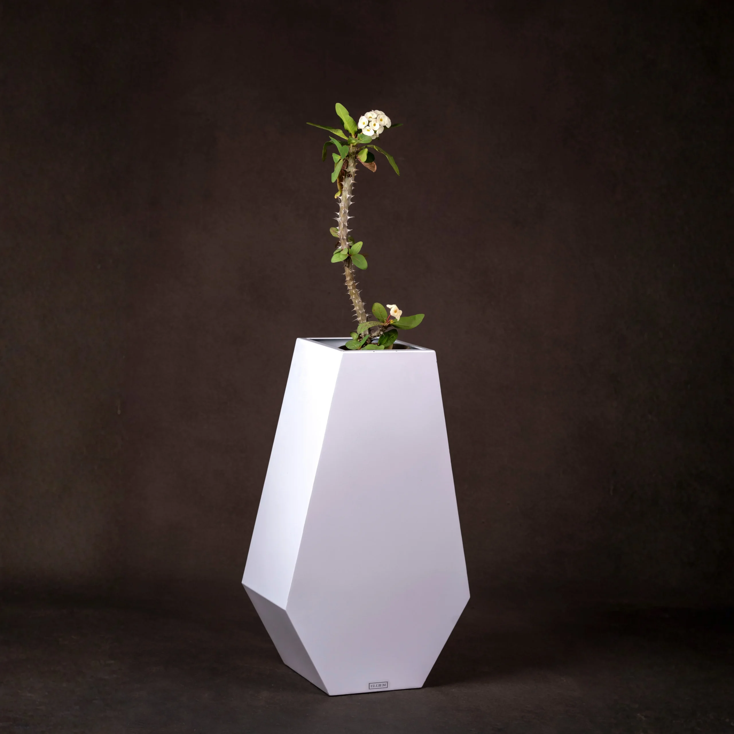 Home | Elgiem Plano Form structured stainless steel planter — architectural silhouette — Elgiem