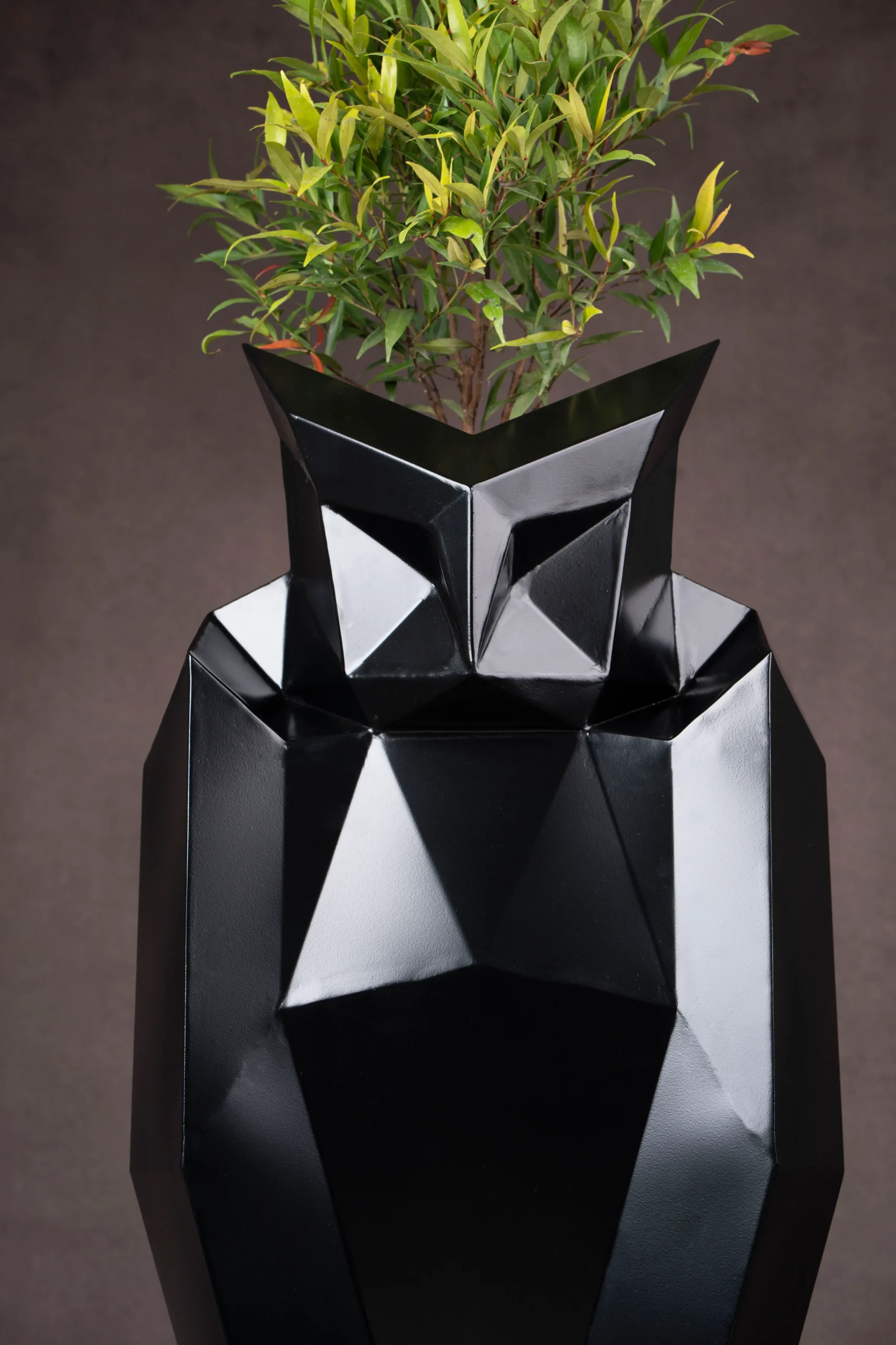 The Mystic Owl stainless steel planter — Absolute Black — luxury retail display