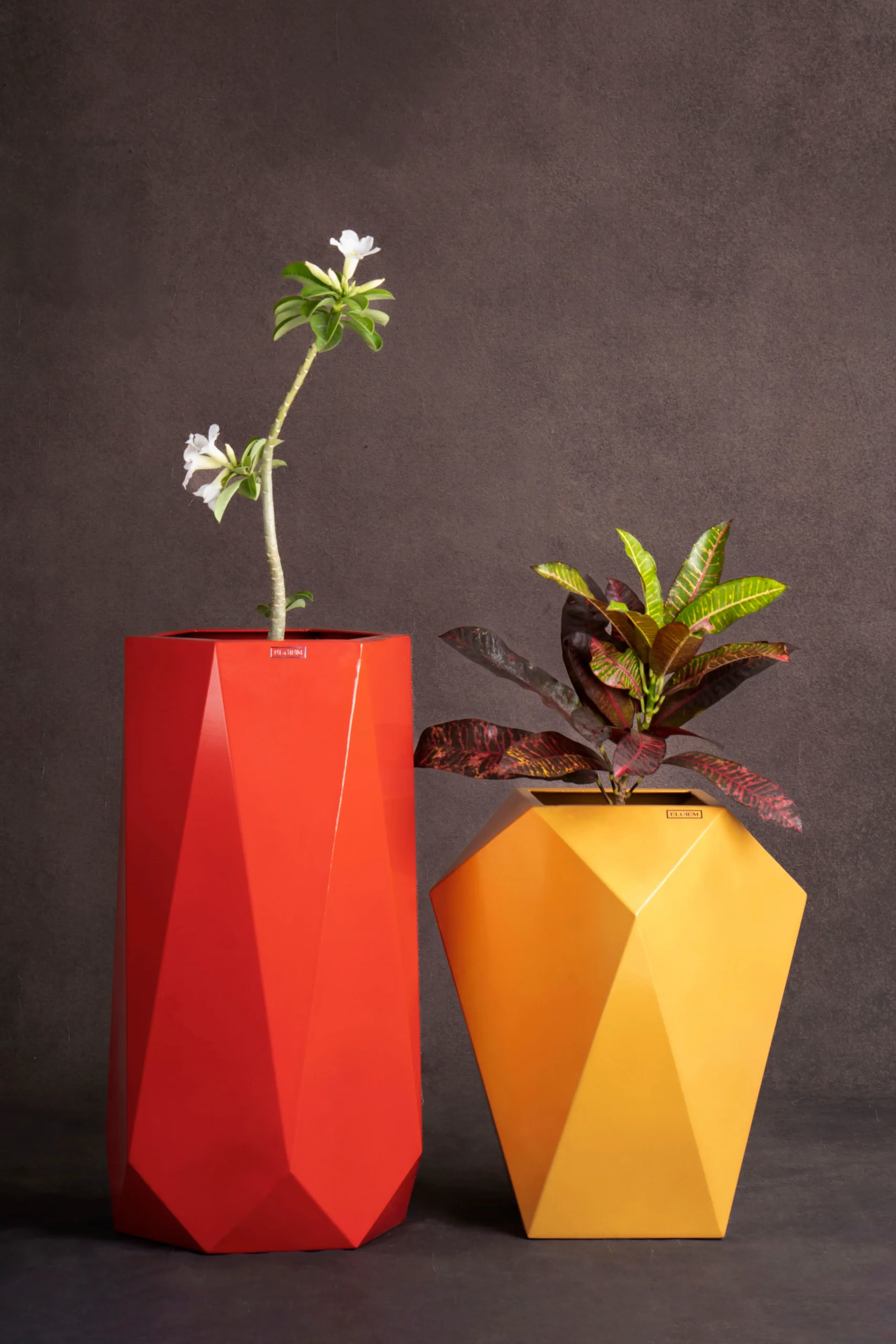 mira wide planter, wide metal planter India, low profile metal planter Elgiem, luxury corridor planter, broad indoor steel planter